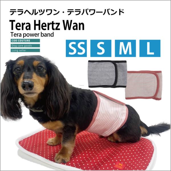 【5/8再入荷/在庫限り】サイズが豊富! ヘルニアや腰痛でお悩みのワンちゃんに! 【テラパワーマナー...