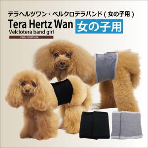 犬腹巻き マジックテープで着脱が劇的にラクラク! テラヘルツワン・ベルクロテラバンド(女の子用)（2色）7220g[犬グッズ]