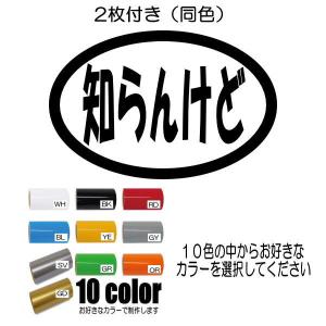 【2枚セット】知らんけど 関西弁 大阪弁 しらんけど文字抜きステッカー カラー10色｜coo-eshop