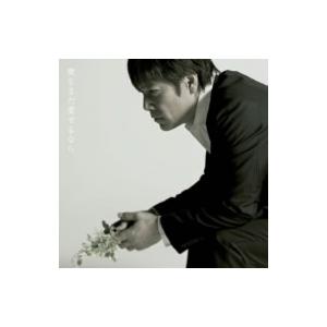  CD+DVD