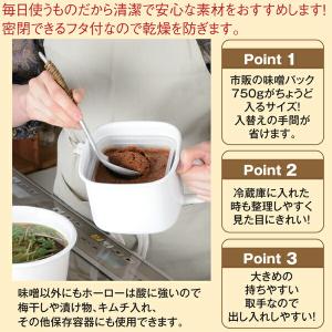 富士ホーロー 味噌ポット ライトグレー バニラ...の詳細画像1
