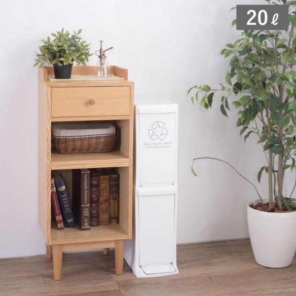 分別 スリムダストボックス 2分別 20L LFS-932WH 東谷 スリム ごみ箱