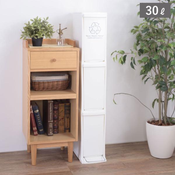 分別 スリムダストボックス 3分別 30L 東谷 LFS-933WH スリム ごみ箱