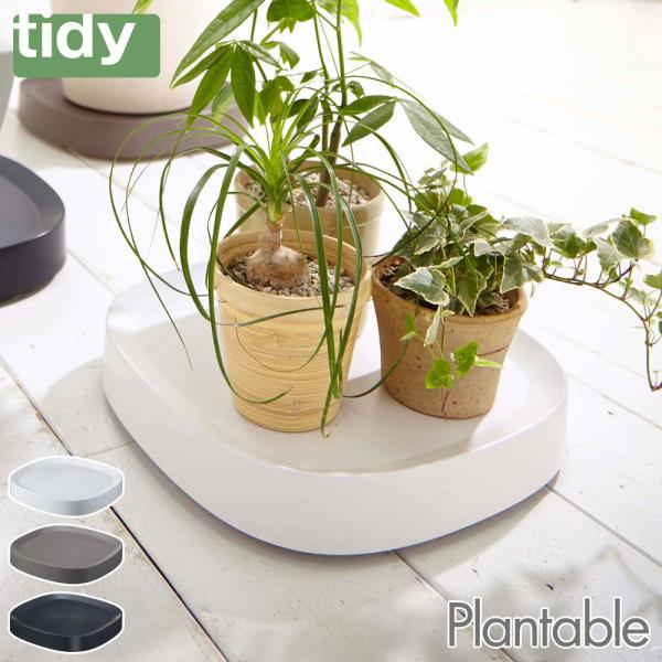 ティディ プランタブル 植木鉢トレイ キャスター付き tidy Plantable アッシュコンセプ...