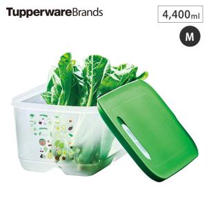タッパー ベントスマートM #2 B0142 Tupperware タッパーウェア　野菜 果物 保存 保管 ストック 野菜ストッカー 冷蔵庫｜クッキングクロッカ