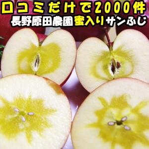 りんご 蜜入り サンふじ 口コミ2000件 噂の 蜜入りりんご サンフジ 長野 信州 原田農園 5kg 11〜18玉 中〜大玉 贈答 お歳暮 贈答用 送料無料｜cooksanchoku