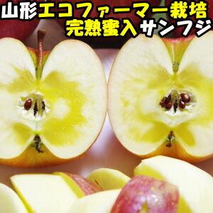 りんご 蜜入り お歳暮 贈答用 5kg 20玉 小玉 ふじ サンふじ 糖度 減農薬 エコファーマー 完熟 蜜 リンゴ サンフジ 山形 太田農園 蜜入りりんご ギフト 送料無料