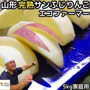 りんご 訳あり サンふじ 5kg 12〜23玉 糖度 減農薬 エコファーマー 完熟 山形 太田農園 家庭用 林檎｜cooksanchoku