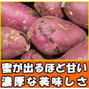さつまいも 紅はるか 熟成 完熟 3.5kg ...の詳細画像1