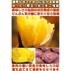 さつまいも 紅はるか 熟成 完熟 3.5kg ...の詳細画像4