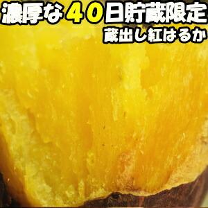 さつまいも 紅はるか 熟成 完熟 5kg 送料無料 熊本 益城町 特別