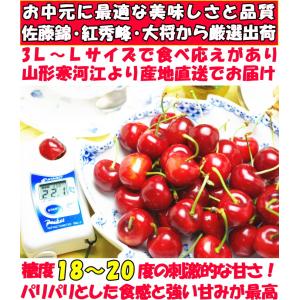 【冷蔵配送】 さくらんぼ 500g l- 2l...の詳細画像4
