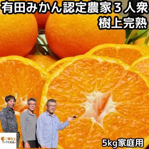 みかん 和歌山 有田 訳あり 甘い 美味しい 糖...の商品画像