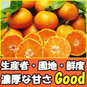 みかん 和歌山 有田 訳あり 甘い 美味しい ...の詳細画像1