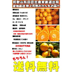 みかん 和歌山 有田 訳あり 甘い 美味しい ...の詳細画像2