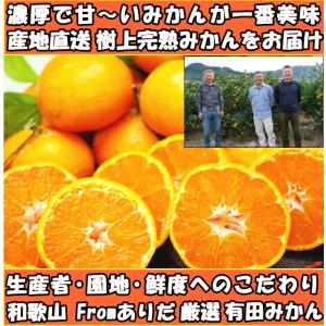 みかん 和歌山 有田 訳あり 甘い 美味しい ...の詳細画像3