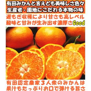 みかん 和歌山 有田 訳あり 甘い 美味しい ...の詳細画像4
