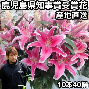 花 ユリ ピンク 花束 大輪 家庭用 ミックス3本 8〜10輪以上 国産 花