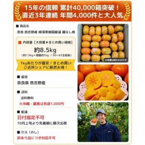 柿 訳あり たねなし柿 8.5kg 7.5kg...の詳細画像2