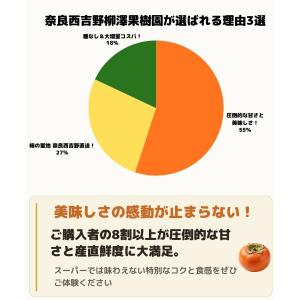 柿 訳あり たねなし柿 8.5kg 7.5kg...の詳細画像4