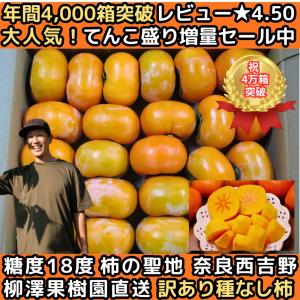 柿 訳あり たねなし柿 8.5kg 7.5kg...の詳細画像5