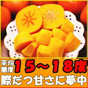 柿 訳あり たねなし 奈良約 西吉野 5kg ...の詳細画像1