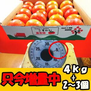 柿 訳あり たねなし 奈良約 西吉野 5kg ...の詳細画像2