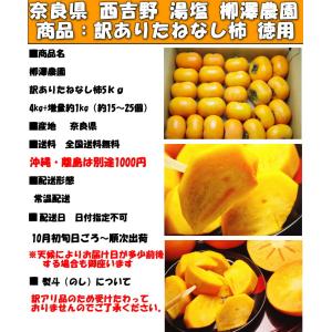 柿 訳あり たねなし 奈良約 西吉野 5kg ...の詳細画像3