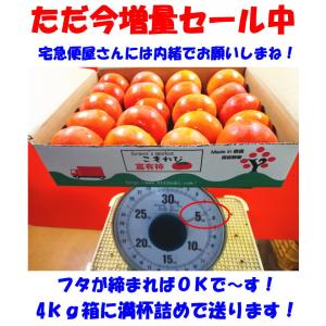 柿 訳あり たねなし 奈良約 西吉野 5kg ...の詳細画像4