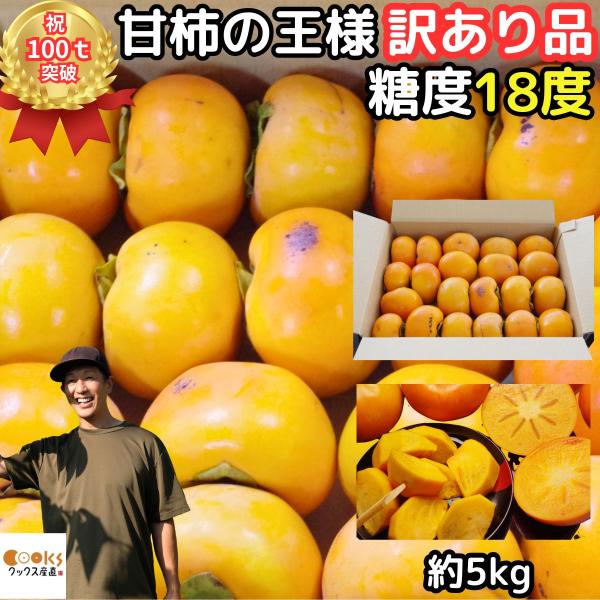 柿 訳あり 富有柿 4kg＋増量約1kg 計5kg 約13〜23玉 送料無料 甘柿の王様 奈良 西吉...