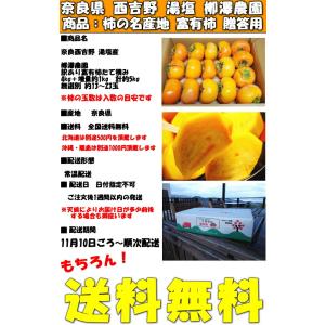 柿 訳あり 富有柿 4kg+増量約1kg 計5...の詳細画像2