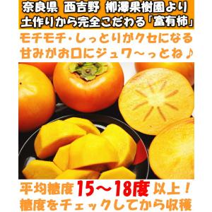 柿 訳あり 富有柿 4kg+増量約1kg 計5...の詳細画像4
