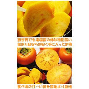 柿 訳あり 富有柿 4kg+増量約1kg 計5...の詳細画像5