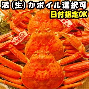 カニ 松葉ガニ タグ付き 日付指定OK  活 生 か ボイル 選択可 未冷凍 送料無料 国産 鳥取 境港直送 松葉蟹 姿 3尾 350〜450g×3尾 生食用 かに｜cooksanchoku