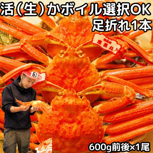 カニ 松葉ガニ 訳あり 足折れ 1本なし 日付指定OK 600g前後×1尾 生 か ボイル 選択可 ...