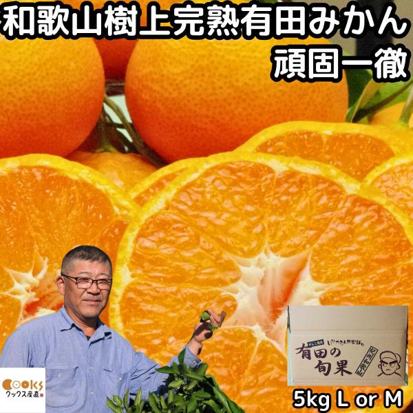 みかん 有田 甘い 美味しい 糖度 和歌山 頑固一徹 生勇農園 樹上完熟 早生 温州 5kg l o...