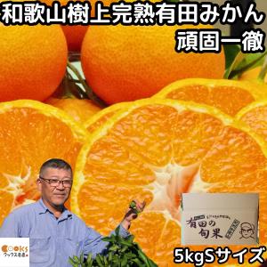 みかん 有田 小玉 甘い 美味しい 糖度 和歌山 生勇農園 樹上完熟 早生 5kg sサイズ お歳暮 贈答用 ギフト｜cooksanchoku