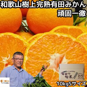 みかん 有田 小玉 甘い 糖度 和歌山 生勇農園 樹上完熟 早生 10kg Sサイズ お歳暮 贈答用 ギフト 農家直送｜cooksanchoku