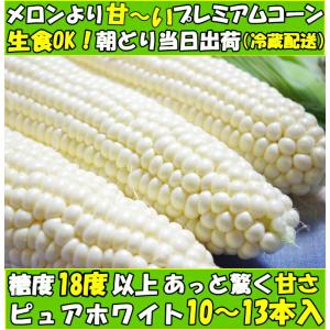 とうもろこし 御中元 ピュアホワイト 10-1...の詳細画像4