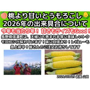 とうもろこし 桃より甘い 最高糖度20度 56...の詳細画像1