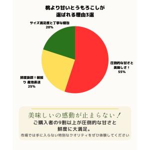とうもろこし 桃より甘い 最高糖度20度 56...の詳細画像4