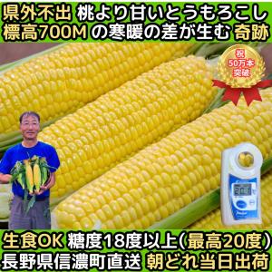 【絶賛出荷中】 とうもろこし 桃より甘い 最高...の詳細画像5