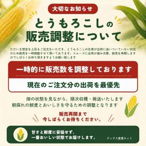 とうもろこし 桃より甘い 最高糖度20度 56...の詳細画像1