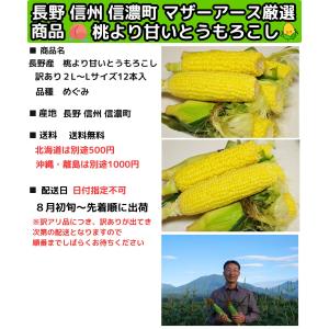 とうもろこし わけあり 桃より甘い 2L-L混...の詳細画像4