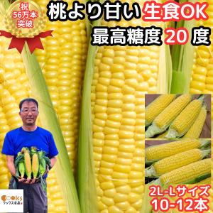 とうもろこし 桃より甘い 最高糖度20度 56万本突破 生食Ok 長野 信濃町 2L-L 10-12本 贈答 お中元 甘い