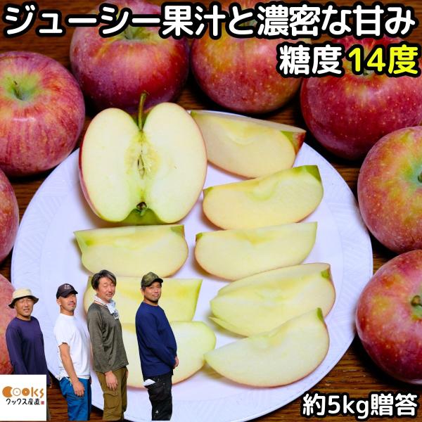りんご シナノリップ 約5kg 10〜23玉 贈答用 長野 もぎたて 林檎 予約 産直 長野 農家 ...