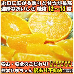 デコポン 同品種 不知火 訳あり 5kg 熊本...の詳細画像4