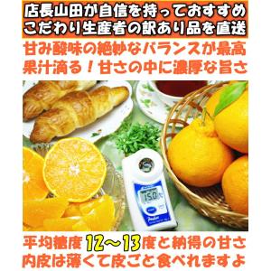デコポン 同品種 不知火 訳あり 5kg 熊本...の詳細画像5