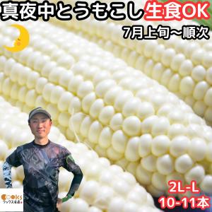 とうもろこし 甘い ギフト お中元 生食OK 糖度18〜19度 兵庫 豊岡 真夜中コーン ホワイト 2L-L 10〜11本