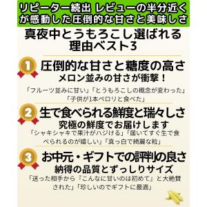 とうもろこし 甘い ギフト お中元 真夜中 ト...の詳細画像1